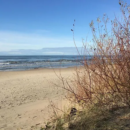 Namai Pas Gintara 3* 팔랑가