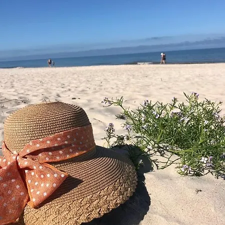 Namai Pas Gintara 게스트하우스 팔랑가