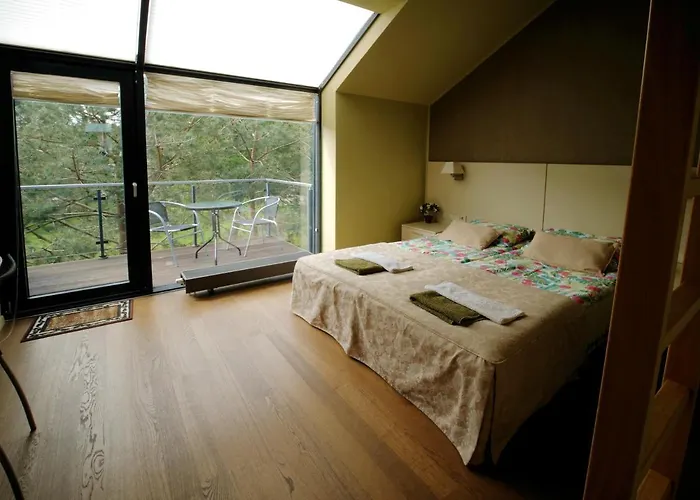 Affittacamere Namai Pas Gintara 3*