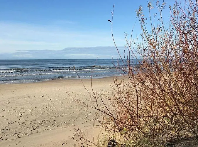 Namai Pas Gintara 3* Palanga