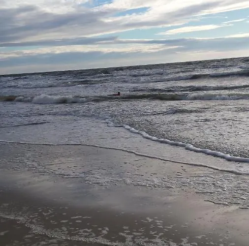 Namai Pas Gintara Affittacamere