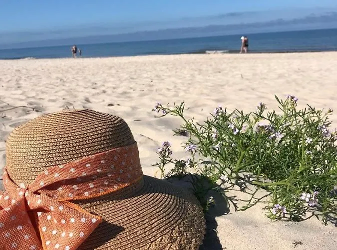 Namai Pas Gintara Affittacamere Palanga